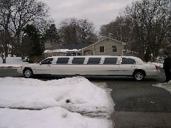 Limo.jpg